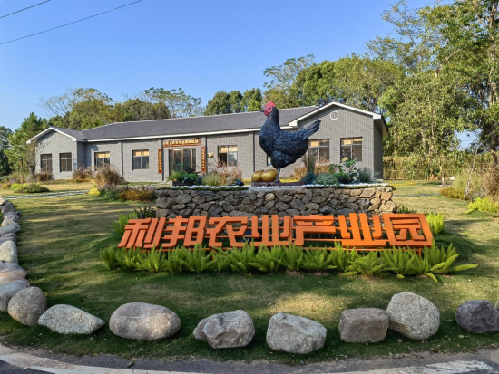 江西南昌:90后小伙養雞創業 譜寫鄉村振興“青春之歌”
