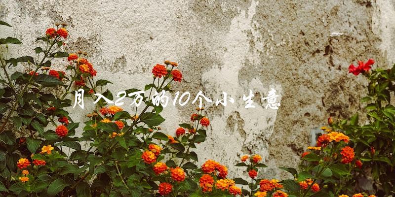 有哪些適合月入2萬的小生意？